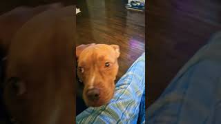 My Baby Loyal She So Pretty.