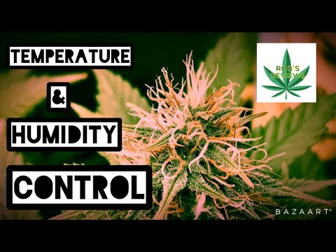 Controlling your humidity and temperature for indoor cannabis