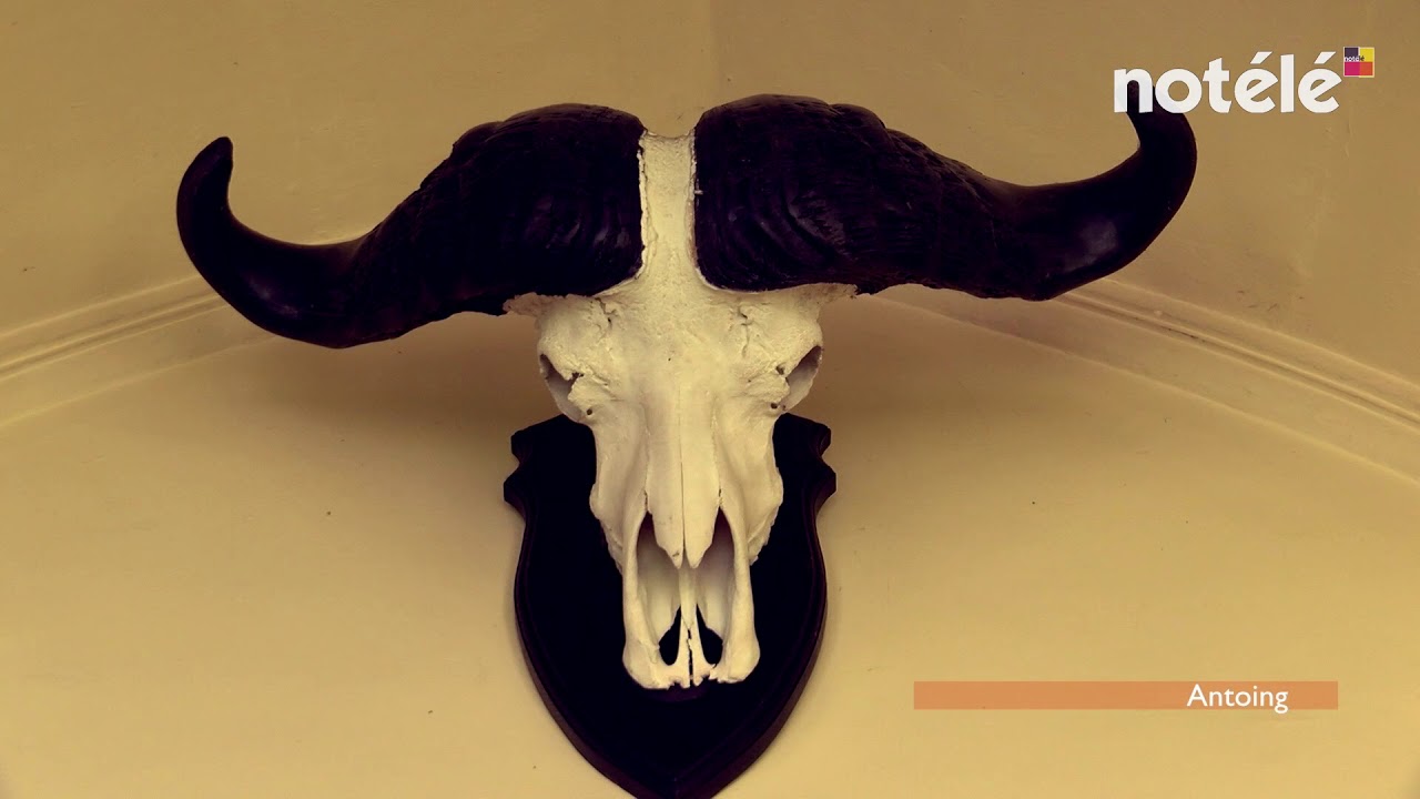 C'est Tout Toit - A la découverte du château d'Antoing