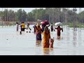 Pakistan floods: A thousand dead, millions affected by 