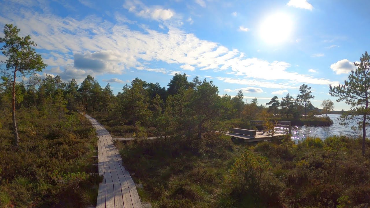 Saturday Afternoon Koigi Bog Hiking Trail YouTube saturday-afternoon-koigi-bog-hiking-trail-youtube