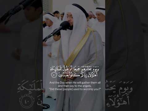 بل كانوا يعبدون الجن تلاوة خاشعة للشيخ أحمد النفيس