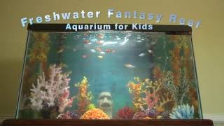 How to Set Up a Freshwater Fantasy Reef Aquarium for Kids by Drs. Foster and Smith Pet Supplies 11,065 views 7 years ago 2 minutes, 17 seconds