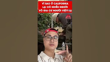 Vì sao ở California lại có nhiều người vô gia cư người Việt? #cuocsongmy #cuocsonghoaky