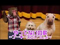【瀬戸さんの歌】「やってないの歌〜プーキーズといっしょ〜」
