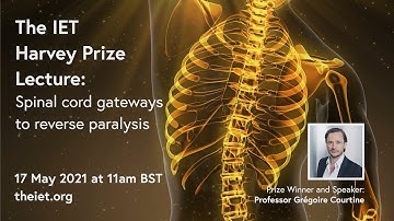 Spinal cord gateways to reverse paralysis