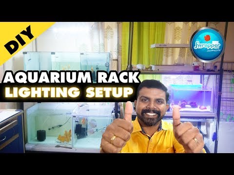 AQUARIUM RACK LIGHTING SETUP | LED Aquarium Lighting