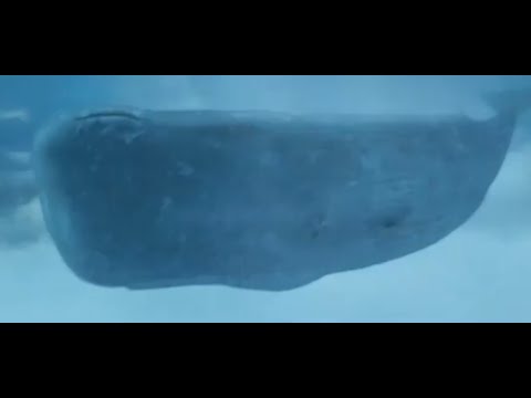 The Hitchhikers Guide to the Galaxy - The Whale - YouTube