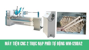 Máy tiện gỗ CNC 2 trục đồng thời WM-1500A2