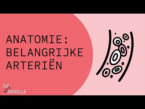 Video: Femorale Arteriële Anatomie, Locatie En Functie - Lichaamskaarten