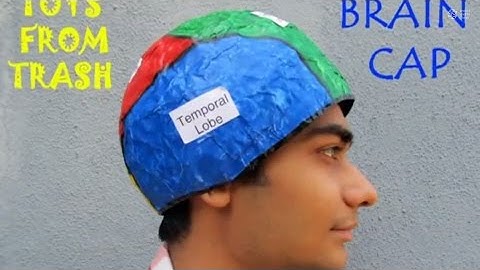 BRAIN CAP - ENGLISH - 19MB.avi