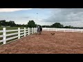 My horses Happy and Rhea... and Buddy (dog)