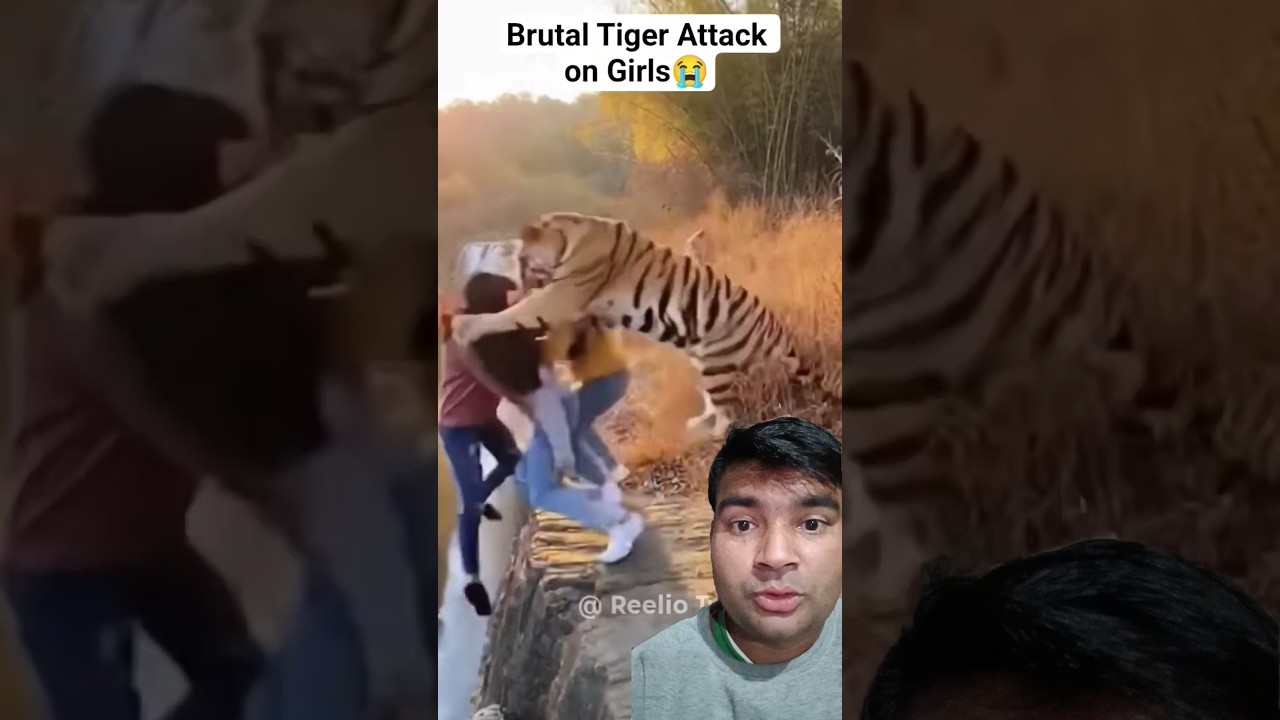 Brutal Tiger Attack on Girls 😱 5 