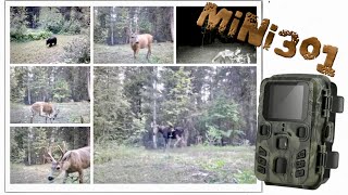 MiNi301 Trail Camera Review: 2023 Best Budget Option