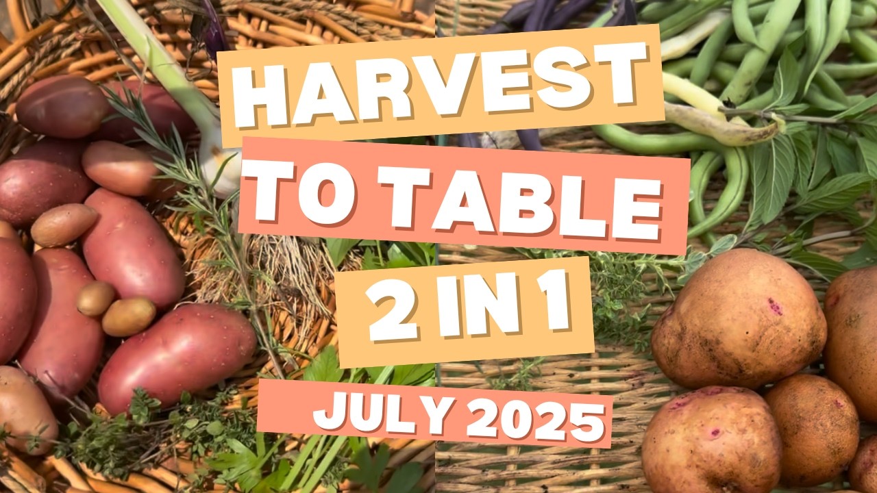 От урожая до стола — выращивайте свои собственные продукты (два видео в одном)
