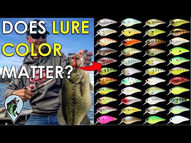 How to Pick the Right Color Fishing Lure for the Right Time of Day and  Season