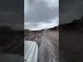 ودي بديرة خلاء لو ذيبها عاوي ودي بديرة خلاء لو ذيبها عاوي
