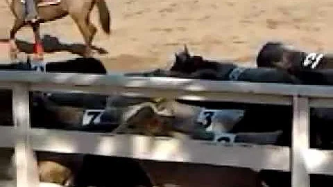 Dove si può andare a cavallo a Napoli?
