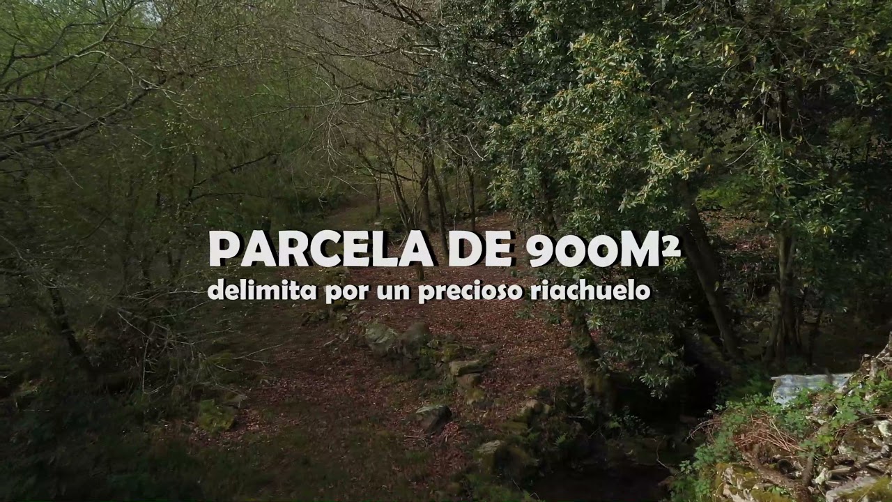 CABAÑA SEL DE LA PEÑA 1