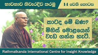 Ep 014 - කාටද මේ බණ ? සහ මිනිස් මොළයෙන් හරියට වැඩගන්න හැටි | How to get the most out of Human Brain?