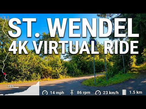 30 minute Indoor Cycling Bahnradweg Sankt Wendeler Land Telemetry Display 4K Video