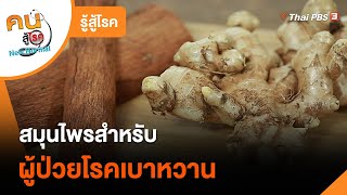 สมุนไพรสำหรับผู้ป่วยโรคเบาหวาน | รู้สู้โรค