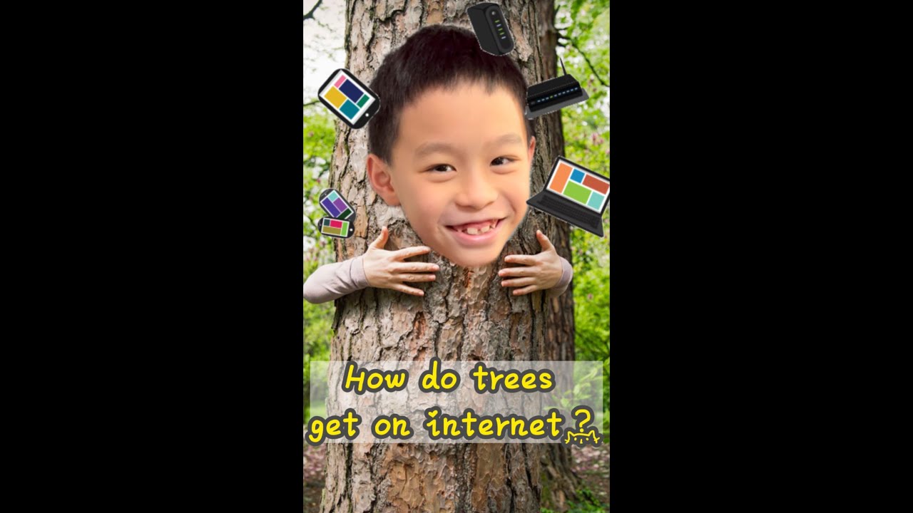 Kid'S Jokes To Laugh Out Loud / Test Your Brain/ How Do Trees Get Internet?