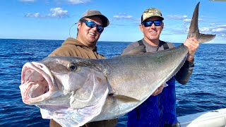 MONSTER *AmberJack* CC&C BlueGabe Style