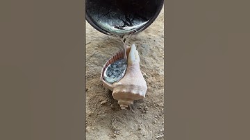 Turning a snail shell into metal art #shorts #viralvideo #reels #restoration