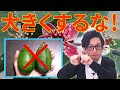 【農業】フェイジョアの果実を大きくするな！【feijoa】