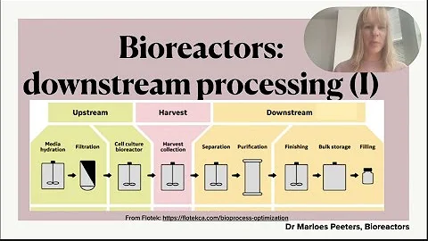 Downstream processing in the pharmaceutical industry (Part I): recovery and purification