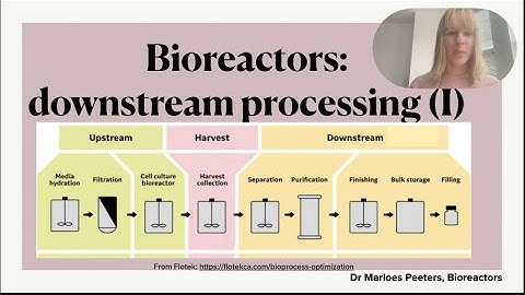 Downstream processing in the pharmaceutical industry (Part I): recovery and purification