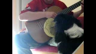 Godfather theme bossa nova style (speak softly love)