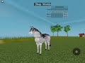 All of the gamepasses in Horse World (Updated)