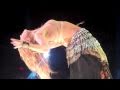 Shakira Tour 2010 Madison Square Garden NYC HD