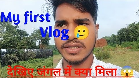 My first vlog !! First vlog !! New vlog  !! #vlog #vlogvideo #myfirstvlog #blog #viral 