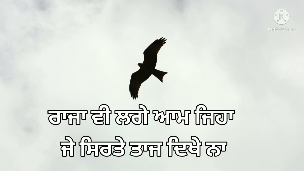 Eagle 2?|Punjabi attitude status punjabi|attitude Punjabi status attitude punjabi new status