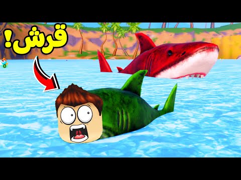 دورة حياة سمك القرش لعبة 