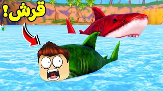دورة حياة سمك القرش لعبة roblox !! 🦈😱 screenshot 4