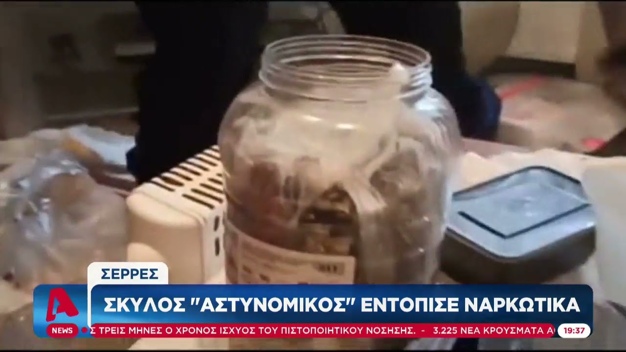 Σέρρες Σκύλος «αστυνομικός» εντόπισε ναρκωτικά