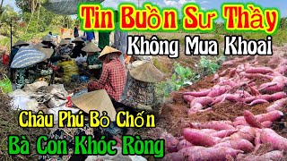 Tin buồn Sư Thầy không mua Khoai ( Châu Phú bỏ Chốn - bà Con Khóc Ròng | Châu Phú Area 51 Thiên Cấm