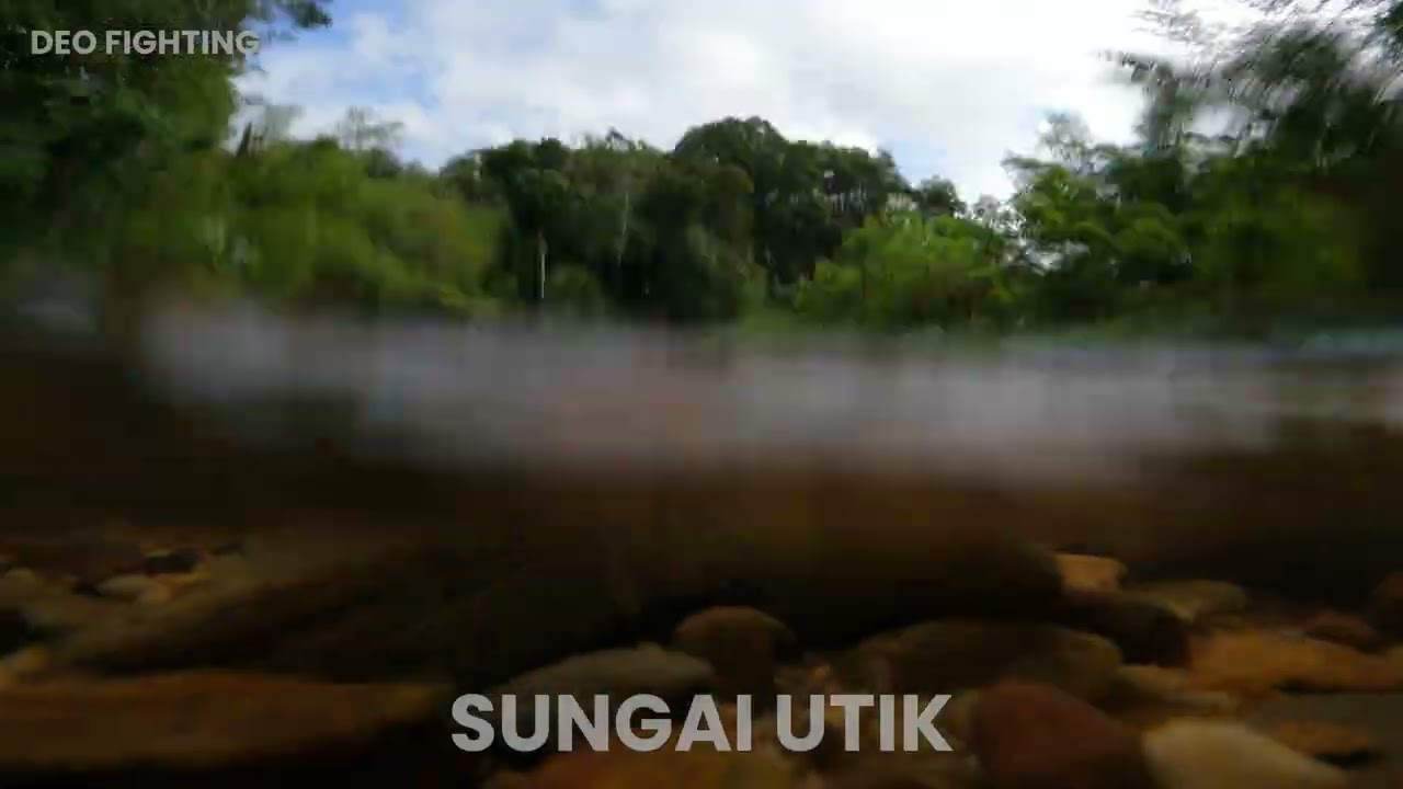 Sungai Utik Kapuas Hulu Kalimantan Barat, Sejuk dan Alami