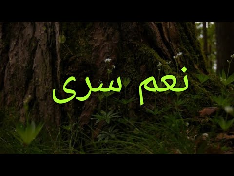 نعم سرى طيف من اهوى كلمات