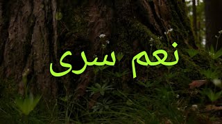نعم سرى طيف من اهوى /عيشة - احمد الدربني و سمير خالد | Harget Kart (video lyrics)