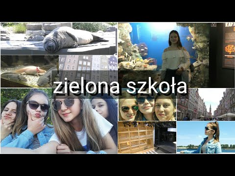 Wideo: Zielona Szkoła