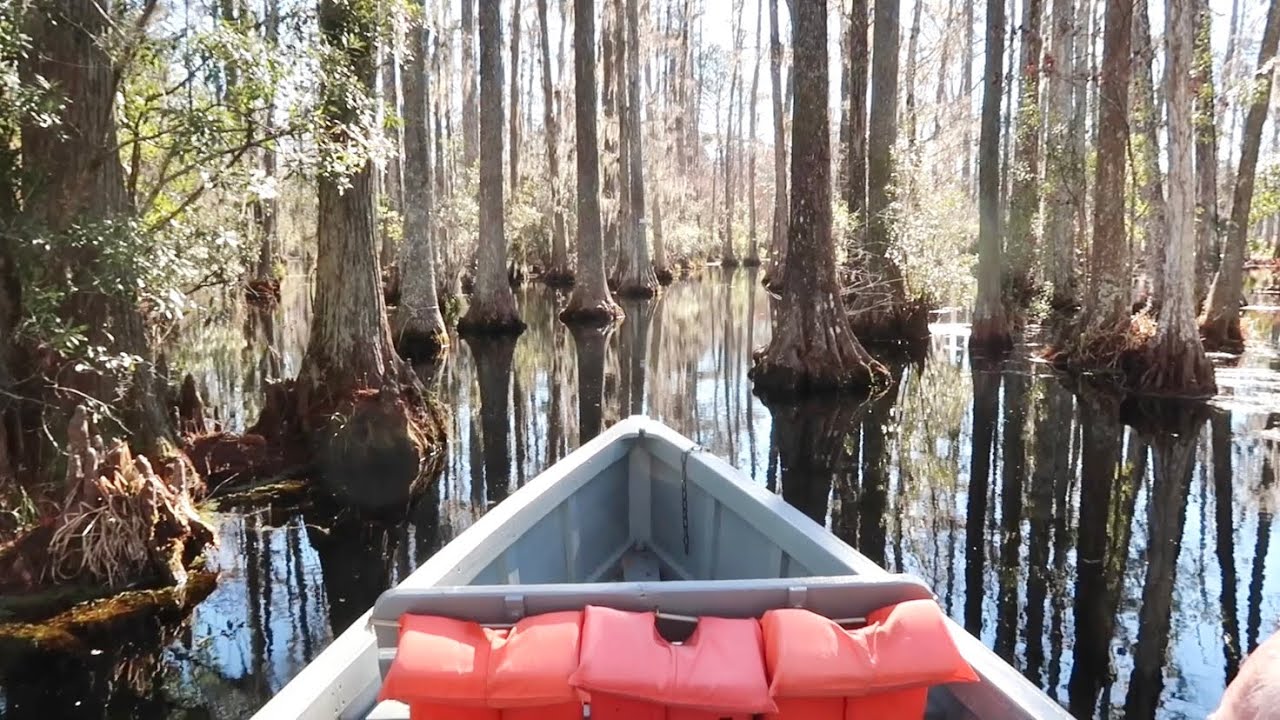 Exploring Swamps of Cypress Gardens South Carolina In A Tiny Boat / Hidden Secrets & Film Locations