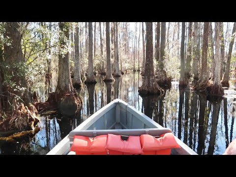 Exploring Swamps of Cypress Gardens South Carolina In A Tiny Boat / Hidden Secrets & Film Locations