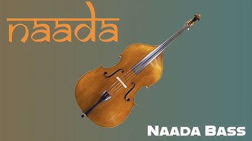 Naada Bass - Madan Pisharody