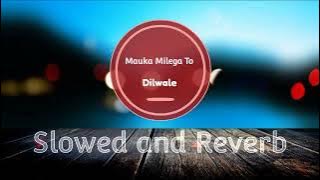 Mauka Milega To Hum Bata Denge - (Slowed   Reverb) | Lyverb | Dilwale Movie Song | Tumhe Kitna Pyar.