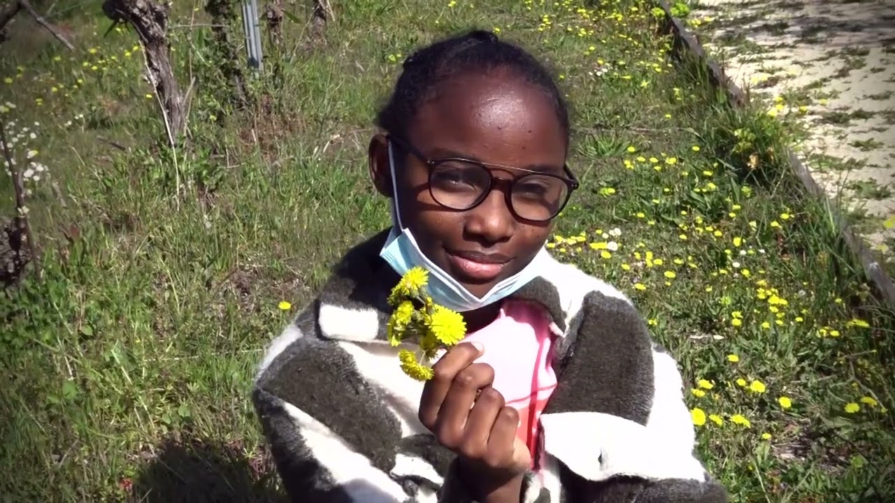 Notre carnaval - IME Mont Riant - ARI